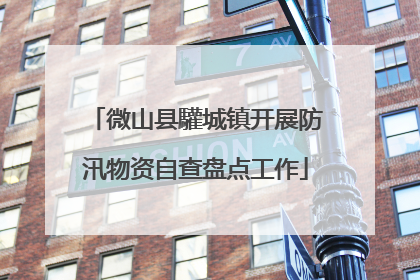 微山县驩城镇开展防汛物资自查盘点工作