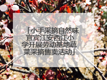 小手采摘自然味 宜宾江安西江小学开展劳动基地蔬菜采摘售卖活动