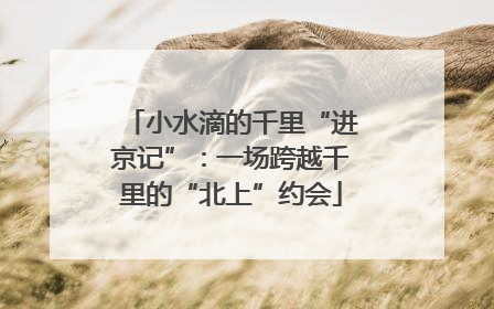 小水滴的千里“进京记”：一场跨越千里的“北上”约会