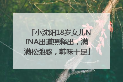 小沈阳18岁女儿NINA出道照释出，满满松弛感，韩味十足