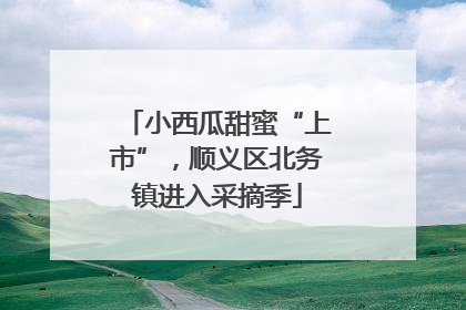 小西瓜甜蜜“上市”，顺义区北务镇进入采摘季