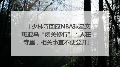 少林寺回应NBA球星文班亚马“闭关修行”：人在寺里，相关事宜不便公开
