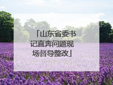 山东省委书记直奔问题现场督导整改