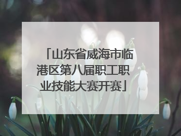 山东省威海市临港区第八届职工职业技能大赛开赛
