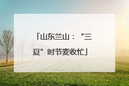 山东兰山：“三夏”时节麦收忙