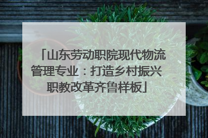 山东劳动职院现代物流管理专业：打造乡村振兴职教改革齐鲁样板