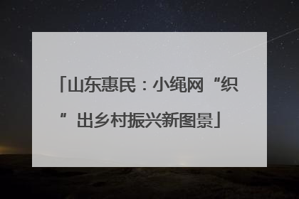 山东惠民：小绳网“织”出乡村振兴新图景