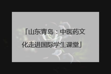 山东青岛：中医药文化走进国际学生课堂
