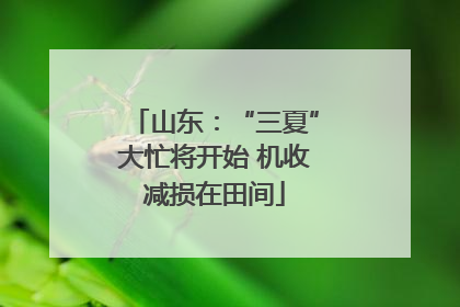 山东：“三夏”大忙将开始 机收减损在田间