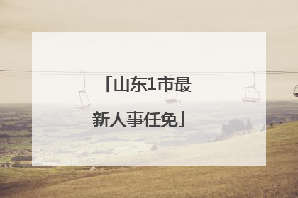 山东1市最新人事任免
