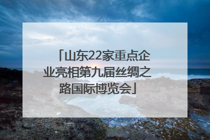 山东22家重点企业亮相第九届丝绸之路国际博览会