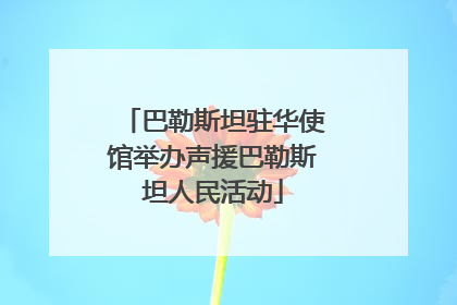 巴勒斯坦驻华使馆举办声援巴勒斯坦人民活动