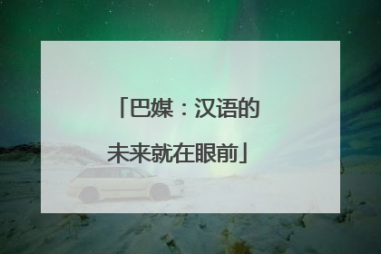 巴媒：汉语的未来就在眼前