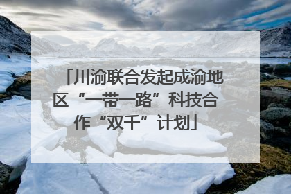 川渝联合发起成渝地区“一带一路”科技合作“双千”计划