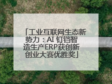 工业互联网生态新势力：AI 钉铛智造生产ERP获创新创业大赛优胜奖