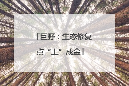 巨野：生态修复点“土”成金