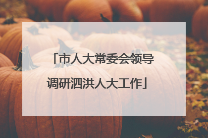 市人大常委会领导调研泗洪人大工作