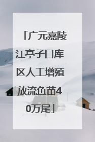 广元嘉陵江亭子口库区人工增殖放流鱼苗40万尾