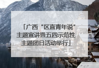 广西“区直青年说”主题宣讲暨五四示范性主题团日活动举行