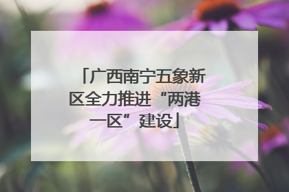 广西南宁五象新区全力推进“两港一区”建设