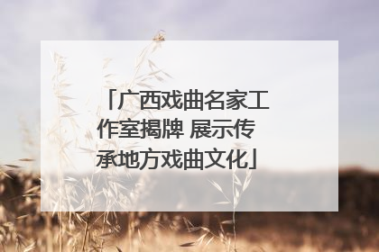 广西戏曲名家工作室揭牌 展示传承地方戏曲文化