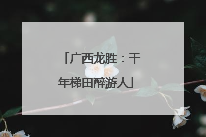 广西龙胜：千年梯田醉游人