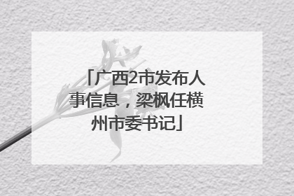 广西2市发布人事信息，梁枫任横州市委书记