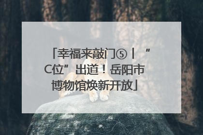 幸福来敲门⑤丨“C位”出道！岳阳市博物馆焕新开放