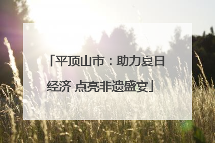 平顶山市：助力夏日经济 点亮非遗盛宴