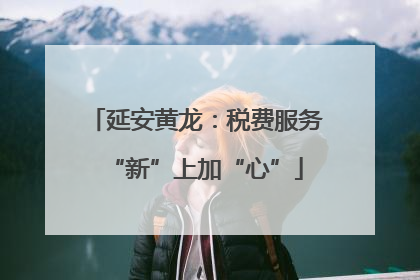 延安黄龙：税费服务“新”上加“心”
