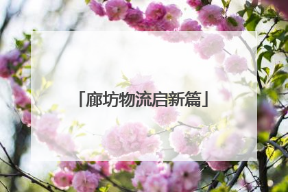 廊坊物流启新篇