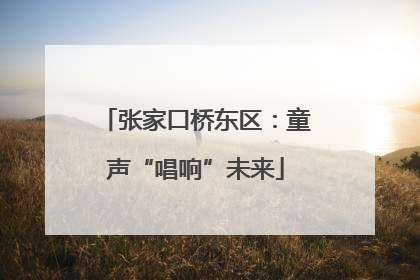 张家口桥东区：童声“唱响”未来