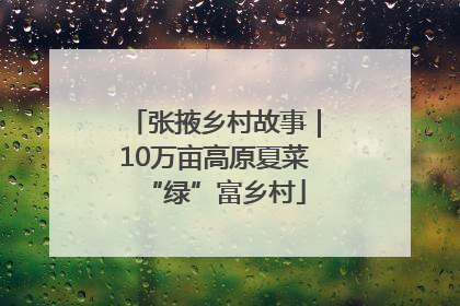 张掖乡村故事｜10万亩高原夏菜“绿”富乡村