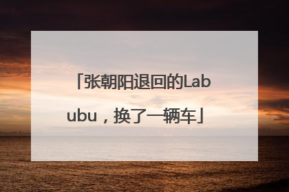 张朝阳退回的Labubu，换了一辆车