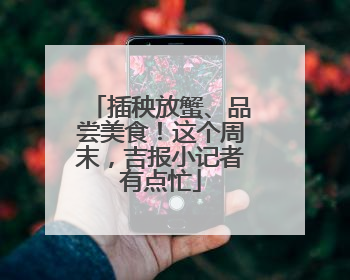 插秧放蟹、品尝美食！这个周末，吉报小记者有点忙