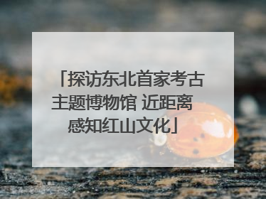 探访东北首家考古主题博物馆 近距离感知红山文化