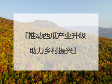 推动西瓜产业升级 助力乡村振兴