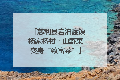 慈利县岩泊渡镇杨家桥村：山野菜变身“致富菜”