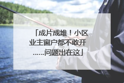 成片成堆！小区业主窗户都不敢开……问题出在这