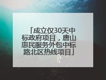 成立仅30天中标政府项目，唐山惠民服务外包中标路北区热线项目