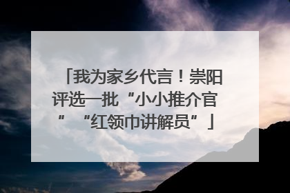 我为家乡代言！崇阳评选一批“小小推介官”“红领巾讲解员”