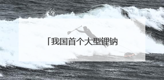 我国首个大型锂钠混合储能站投产