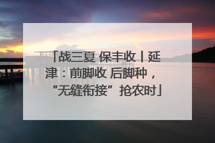 战三夏 保丰收丨延津：前脚收 后脚种，“无缝衔接”抢农时