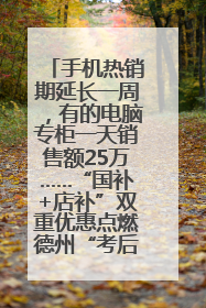 手机热销期延长一周，有的电脑专柜一天销售额25万……“国补+店补”双重优惠点燃德州“考后经济”