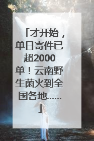 才开始，单日寄件已超2000单！云南野生菌火到全国各地……