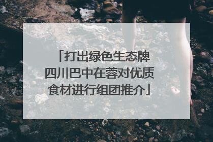 打出绿色生态牌 四川巴中在蓉对优质食材进行组团推介