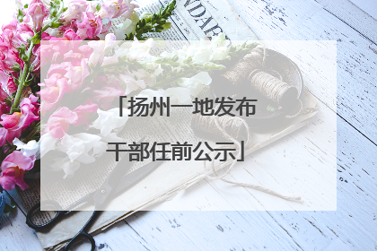 扬州一地发布干部任前公示