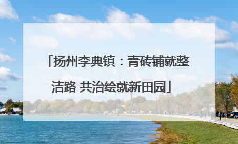 扬州李典镇：青砖铺就整洁路 共治绘就新田园
