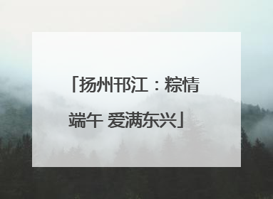 扬州邗江：粽情端午 爱满东兴
