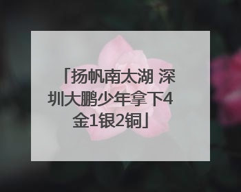 扬帆南太湖 深圳大鹏少年拿下4金1银2铜